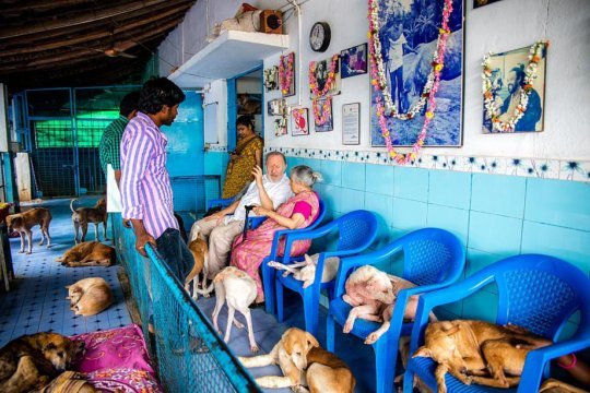 I thought the extra chairs were for us..