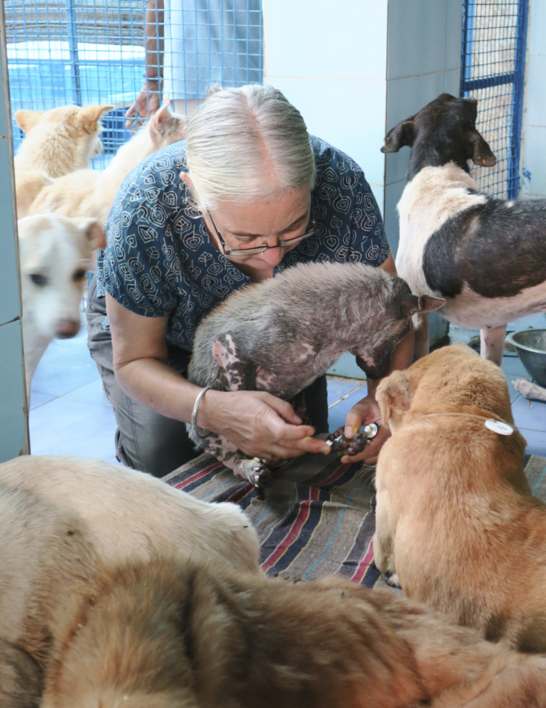 Elaine putting cream on Aurobindo's sore foot.
