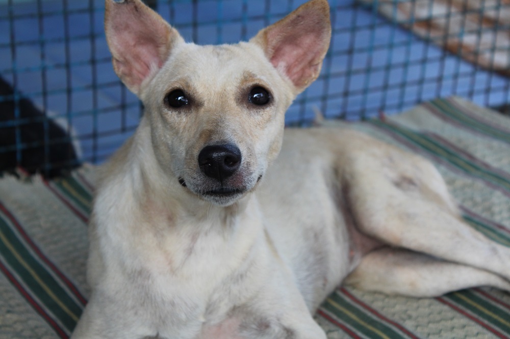 He's feeling food. You can tell by the eyes.