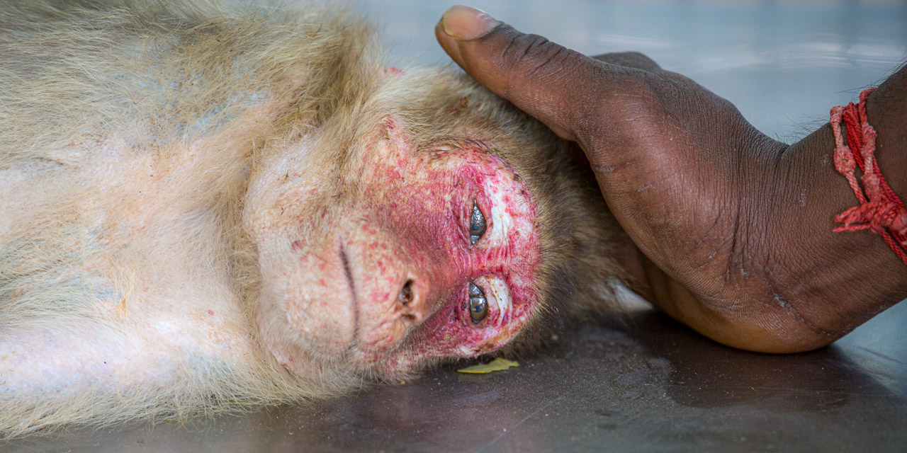 02-20121226115116-RD_20445