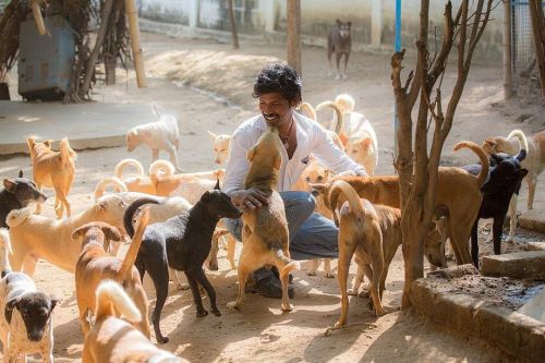 Welcome to our beloved Shelter!