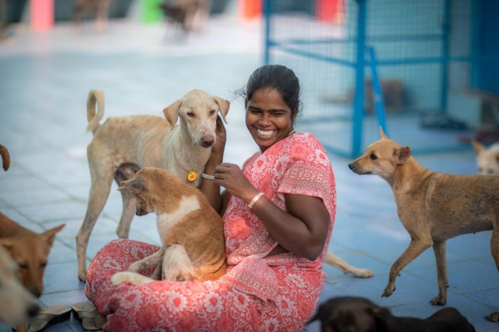 Welcome! Welcome to our beloved Shelter.