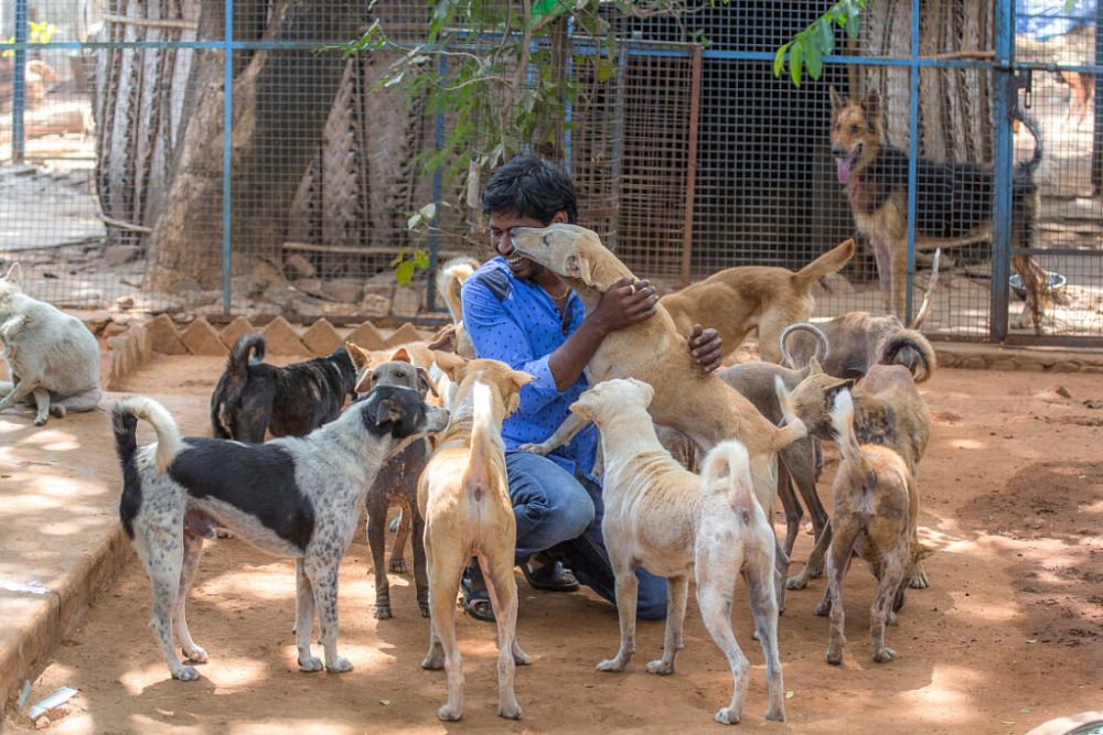 Welcome to our beloved Shelter.