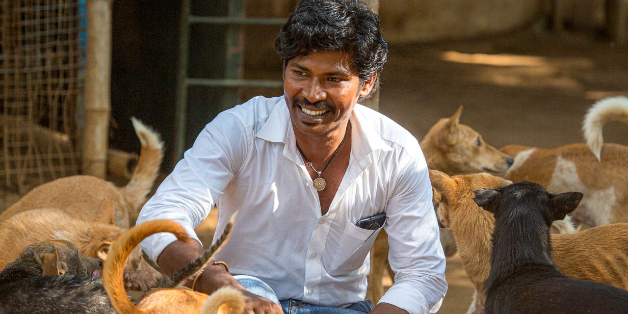 20131230150345-RD_36487