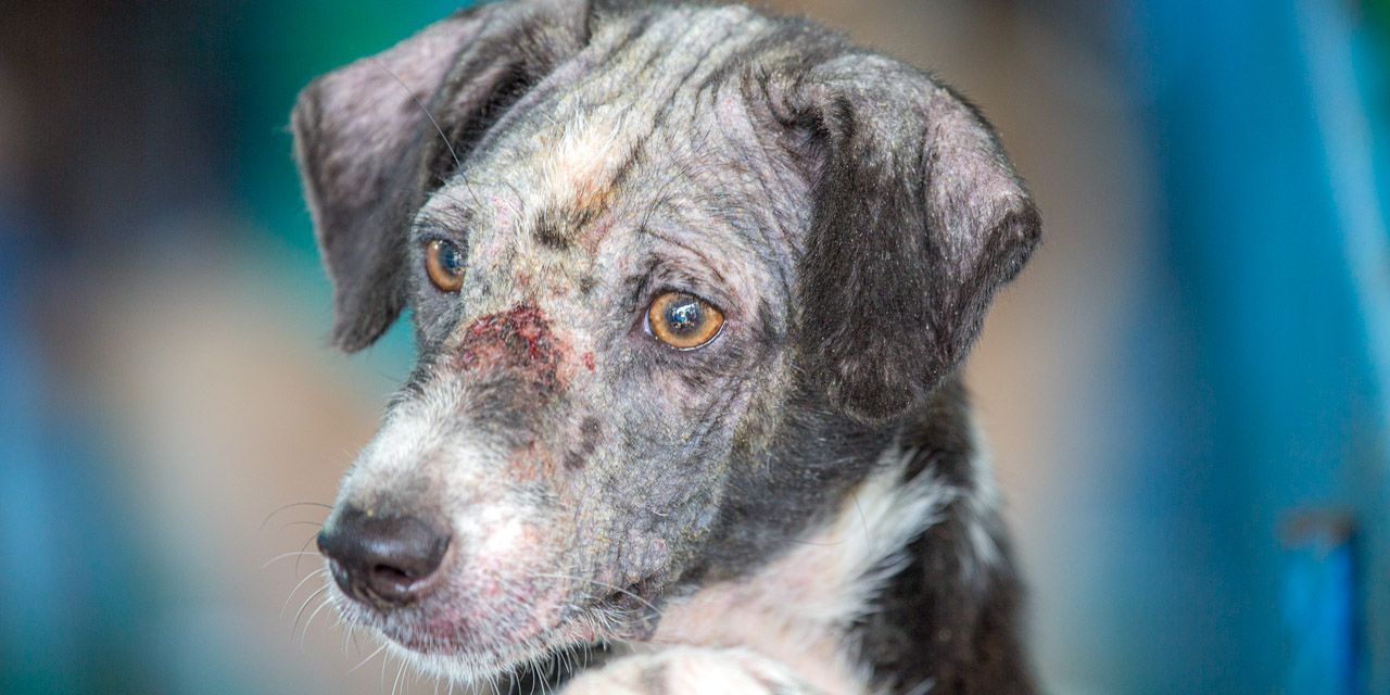 04-20131230150205-RD_36449