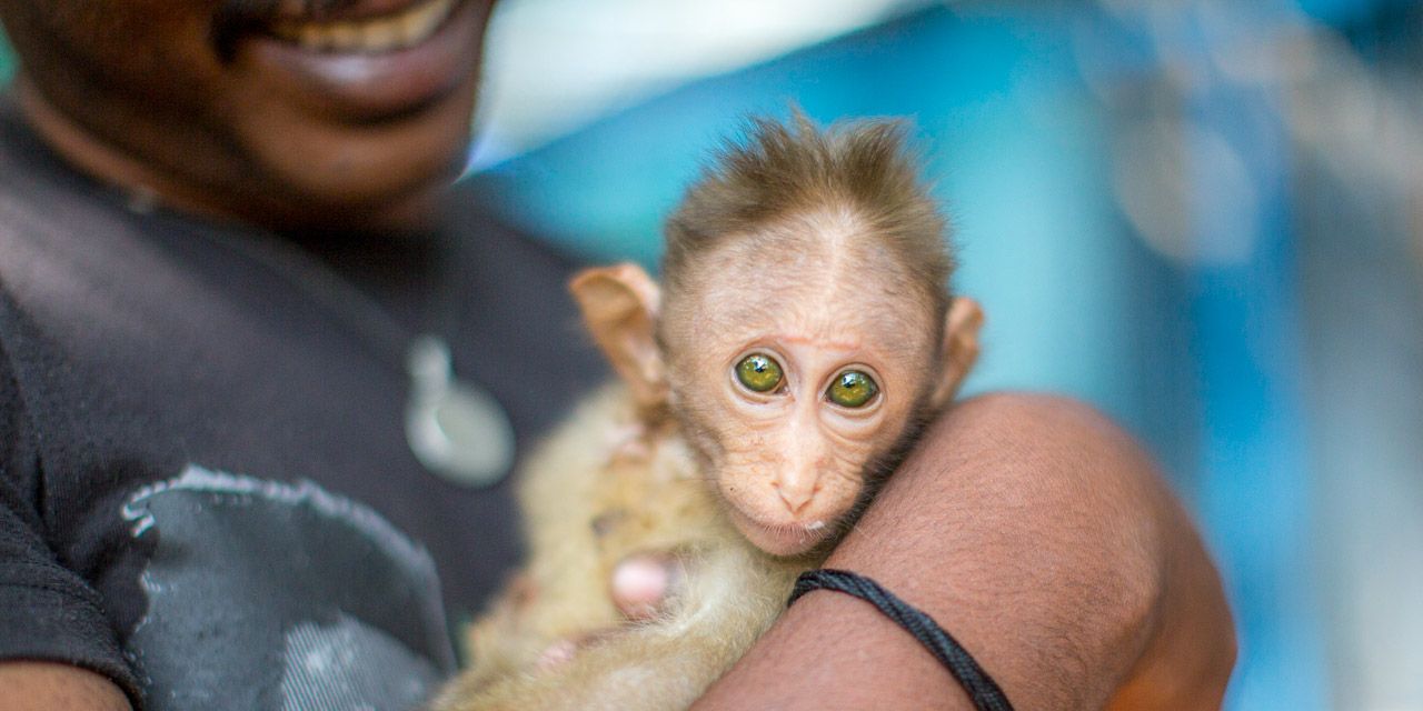 20121226111732-RD_20174